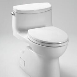Toto-Carolina-2-Transistional-1-piece-toilet-min